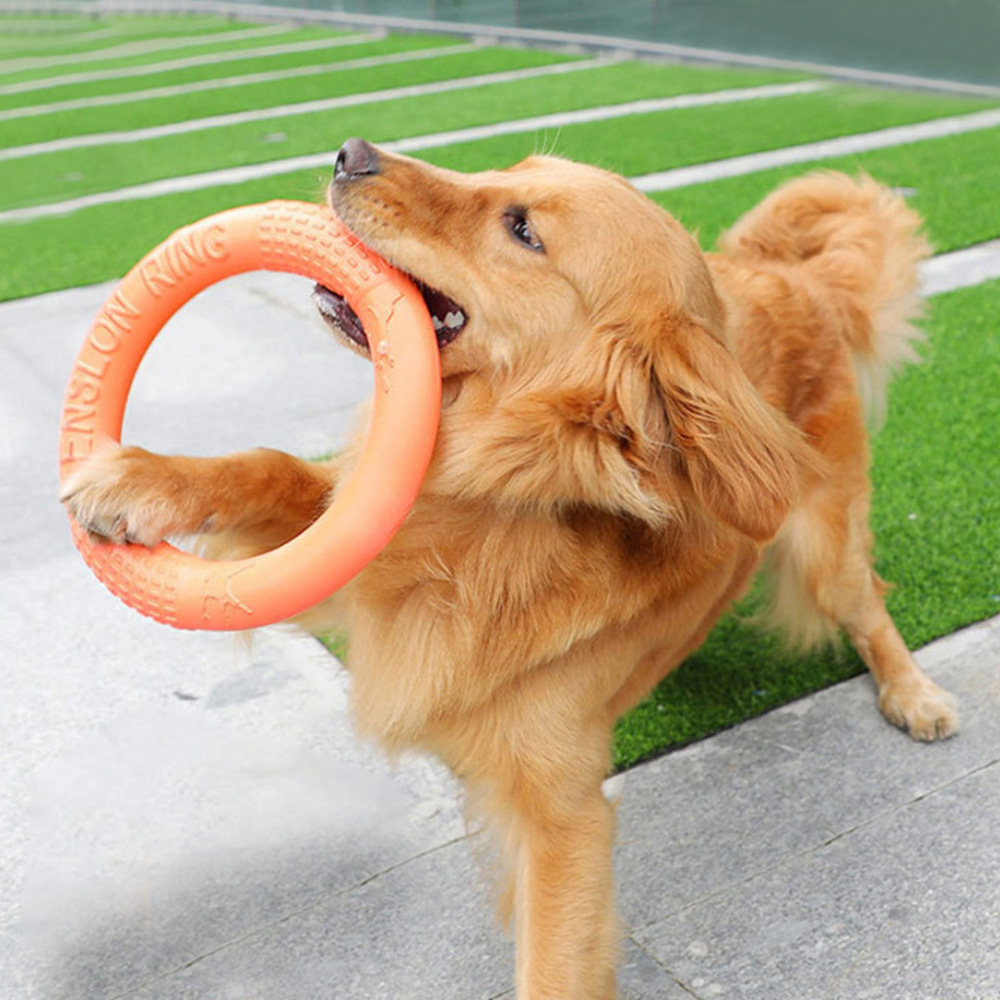 Flying Disc Dog Training Toy - Laranja voando disco formação anel extrator,