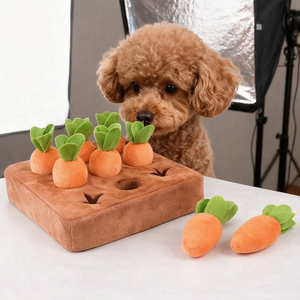Tapete de brincar com cenouras - Snuffle Mat For Dogs avaliação e preço