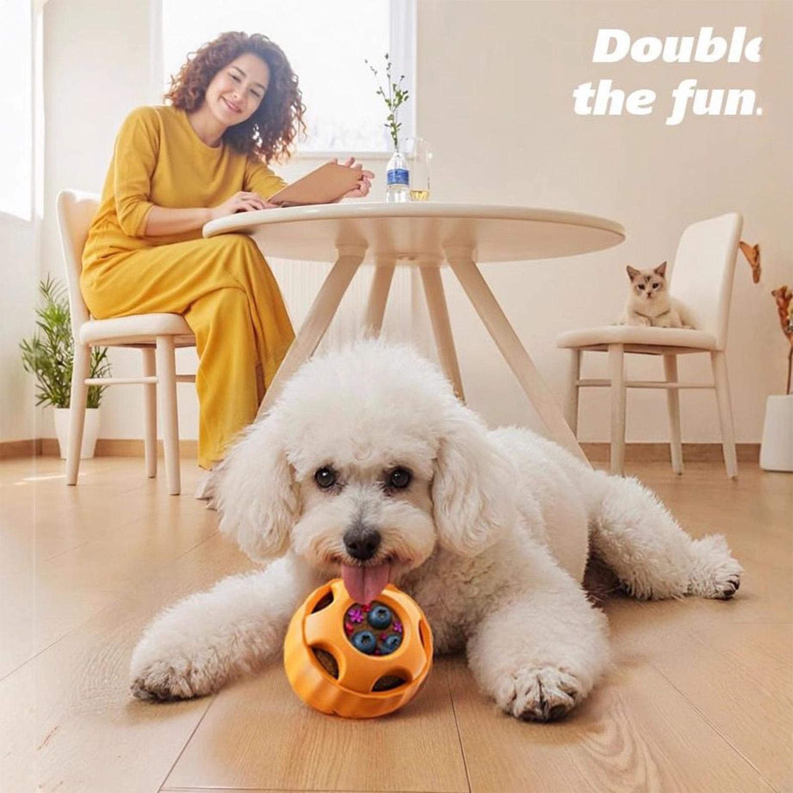 Tratar dispensando brinquedos  - Dog Puzzle Feeder Toy avaliação e preço