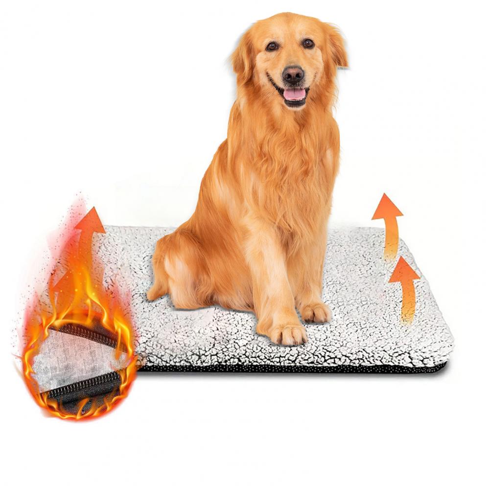 Tapete quente para cães, sem e - Pet Beds avaliação e preço
