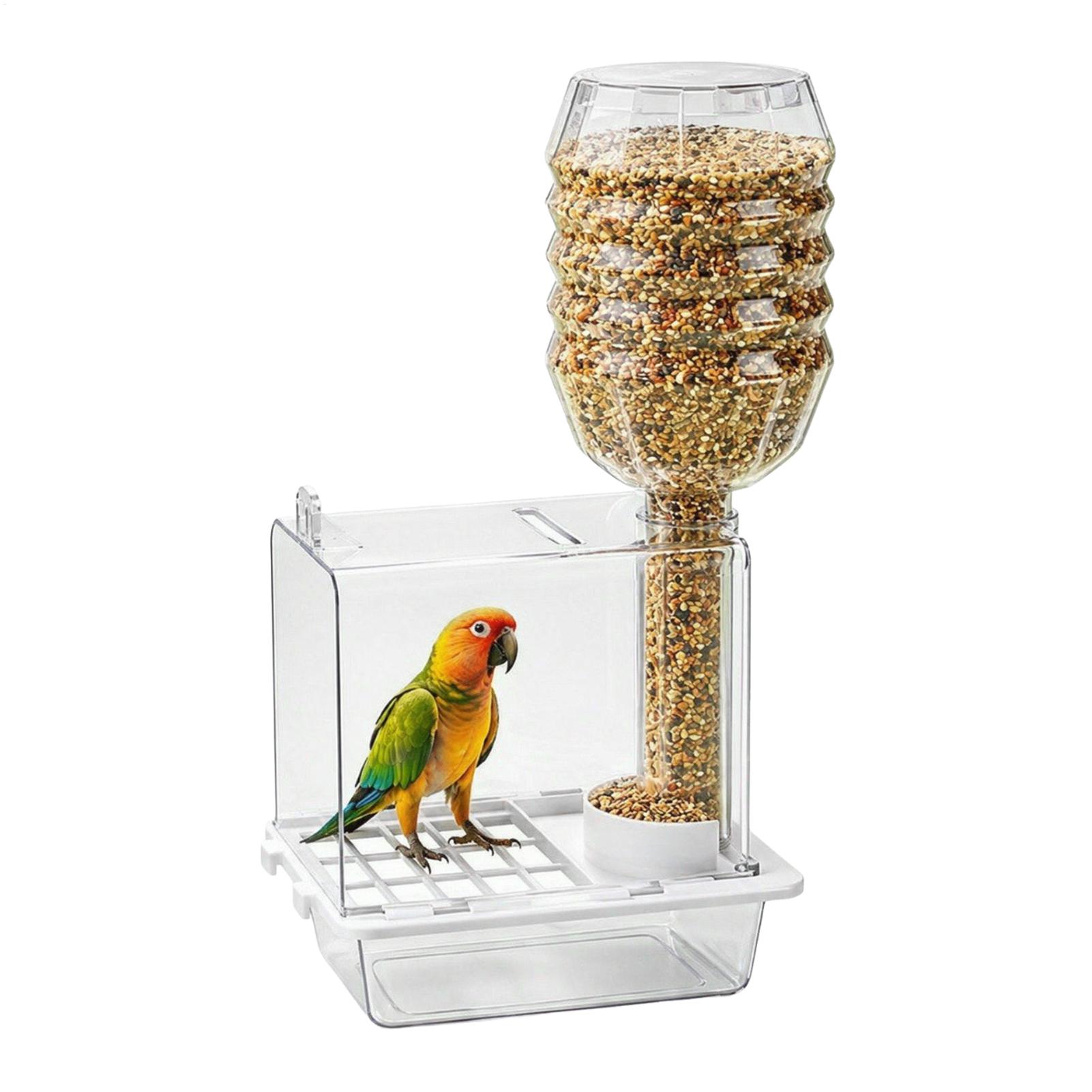 Alimentador automático para pá - Pet Feeders avaliação e preço