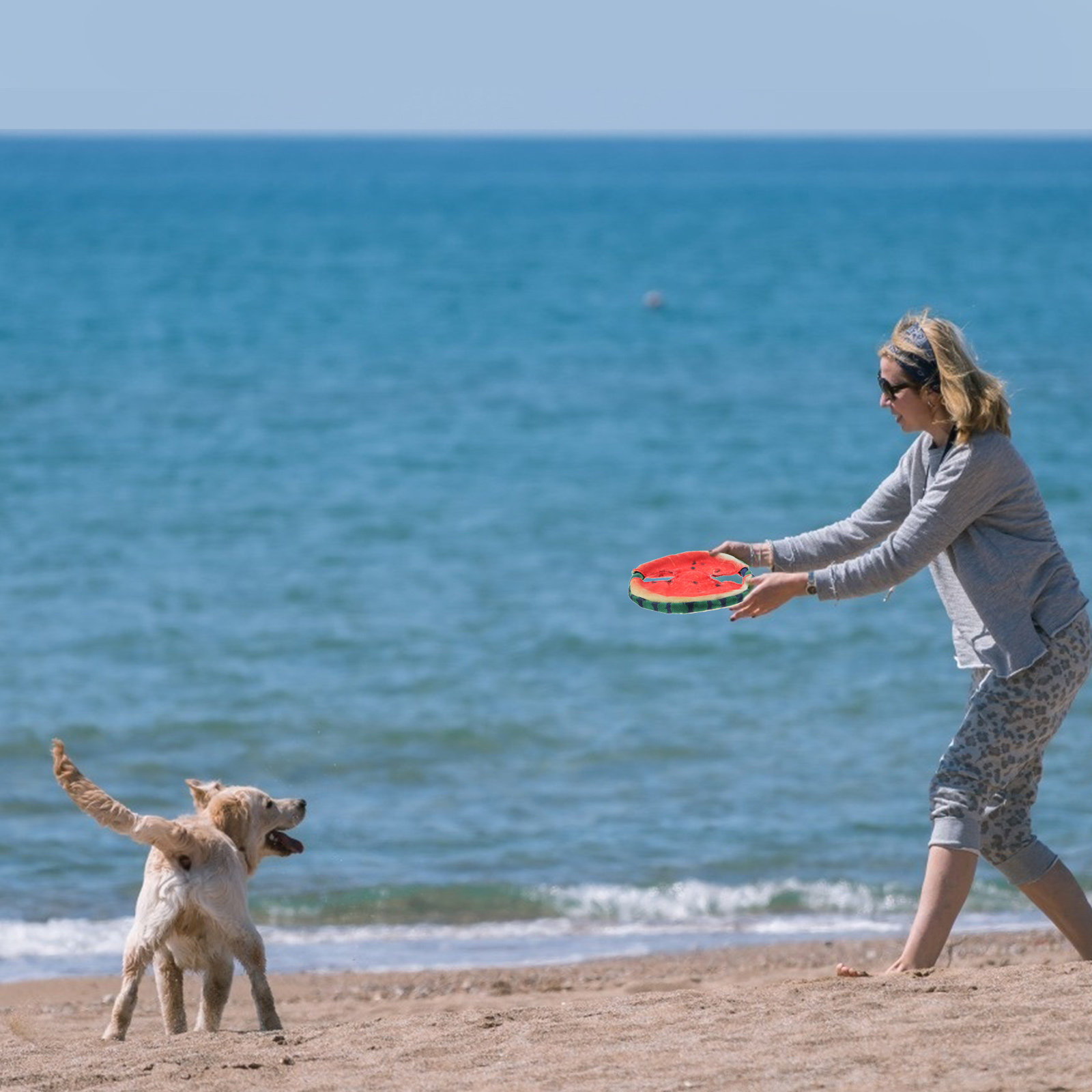1 unidade de disco voador com  - Flying Disc Dog Training Toy avaliação e preço