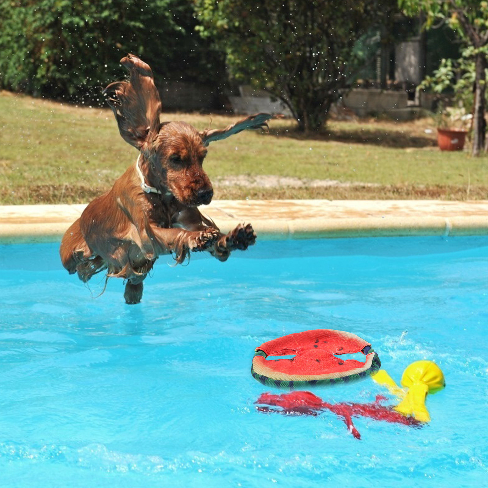 1 unidade de disco voador com  - Flying Disc Dog Training Toy avaliação e preço