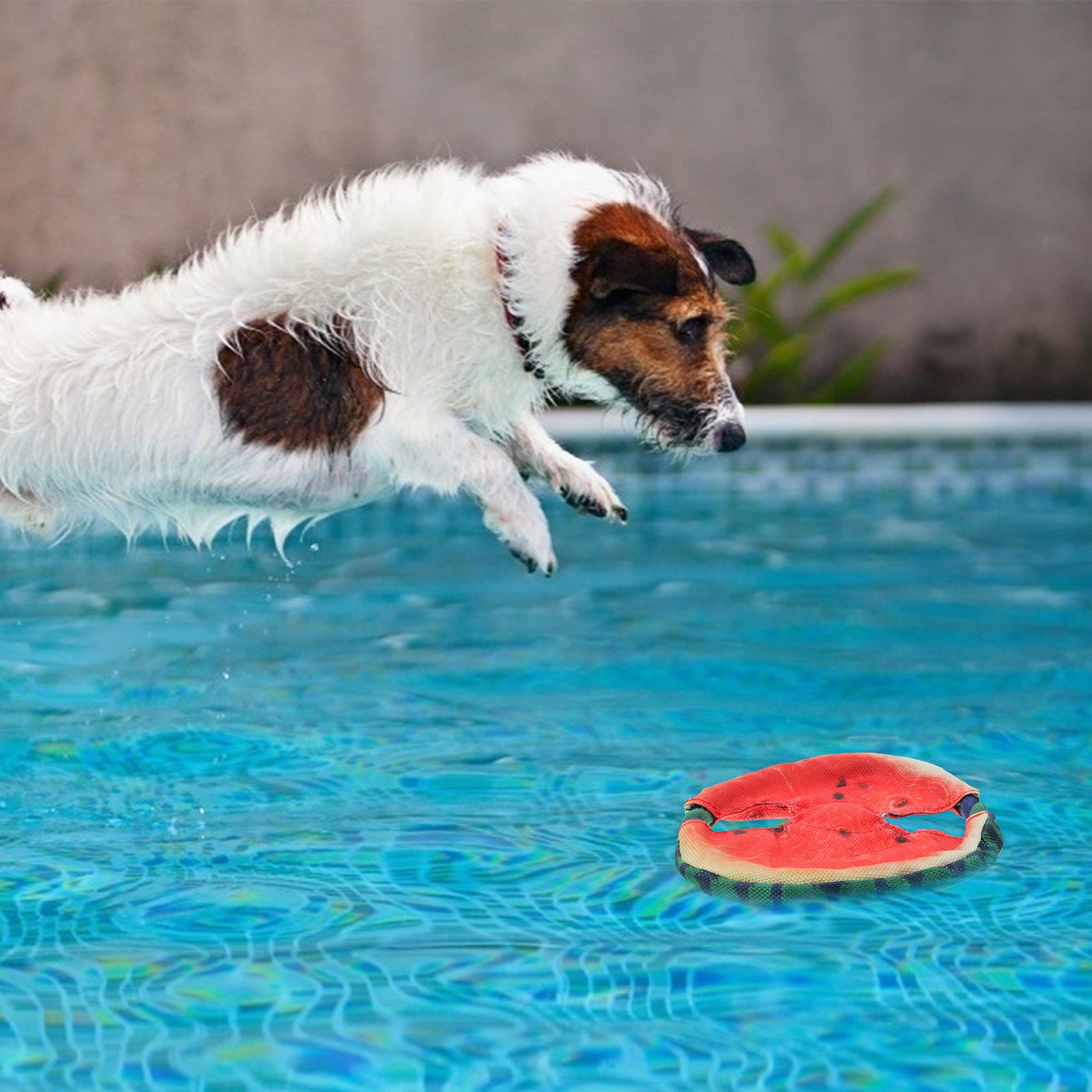 1 unidade de disco voador com  - Flying Disc Dog Training Toy avaliação e preço