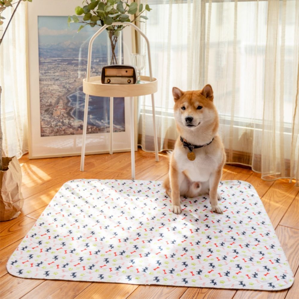 Tapete Durável Super Absorvent - Pet Beds avaliação e preço