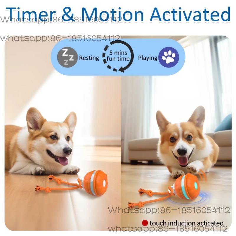 Brinquedos Interativos para Cã - Automatic Moving Dog Ball avaliação e preço